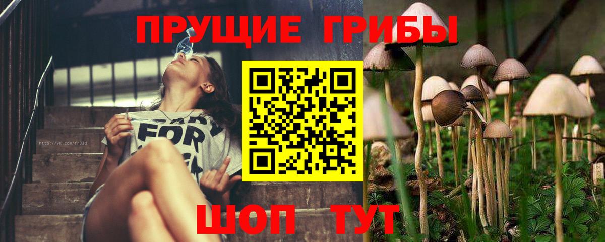 Галлюциногенные грибы мицелий  Вход с VPN  Лангепас 