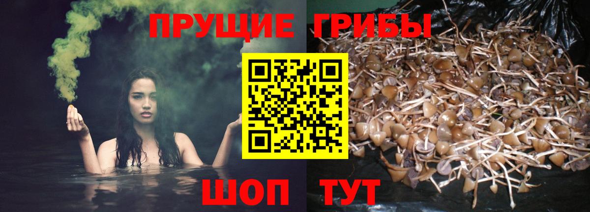 Галлюциногенные грибы MAGIC MUSHROOMS Лангепас